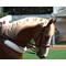 競馬好きの話場