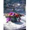 MH3[A:F37E]～JEWELS～[A:F37E]