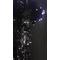 [D:F991]selection