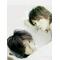 [V:4F49]勝運[V:4F48]最愛[V:4F49]