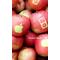iPod touch 百科事典