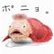 佐沼中