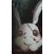 …ＲabBiT†DｏＵbt…