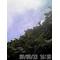 [A:F6EE]Photo倶楽部 (^^)